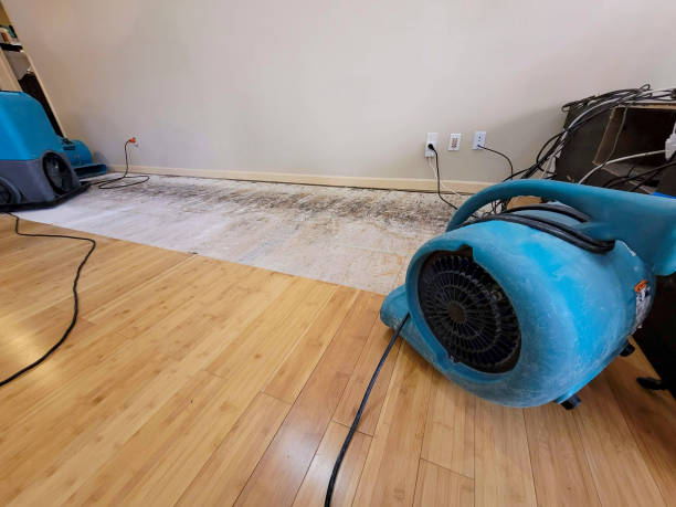 Professional Water Damage Repair technician working in Fairless Hills, PA